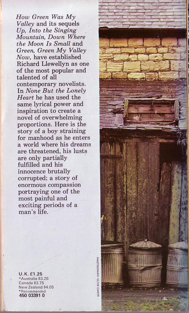 Richard Llewellyn  NONE BUT THE LONELY HEART magnified rear book cover image