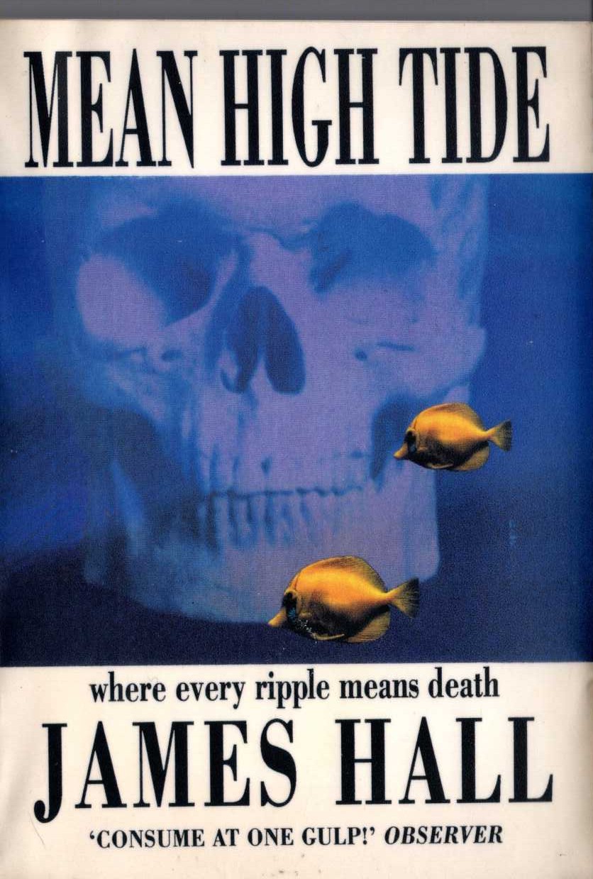 MEAN HIGH TIDE front book cover image