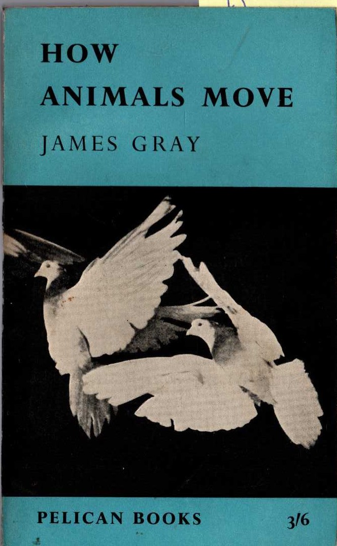 James Gray  HOW ANIMALS MOVE front book cover image