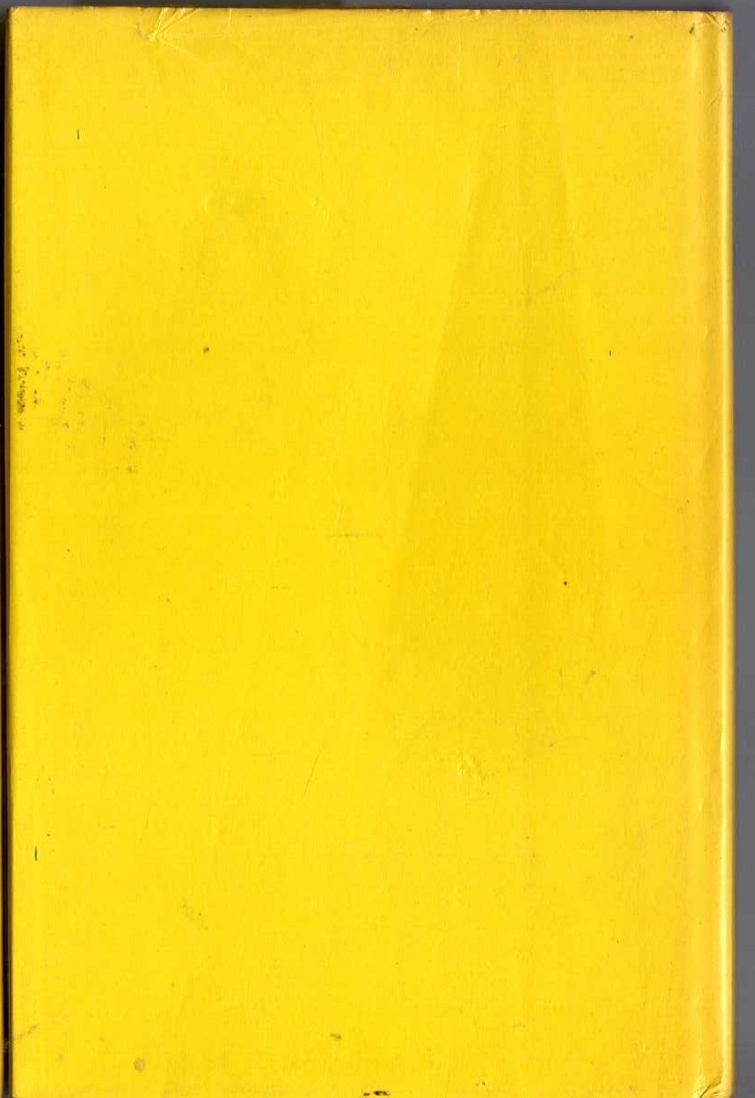 THE LONG SHADOW magnified rear book cover image