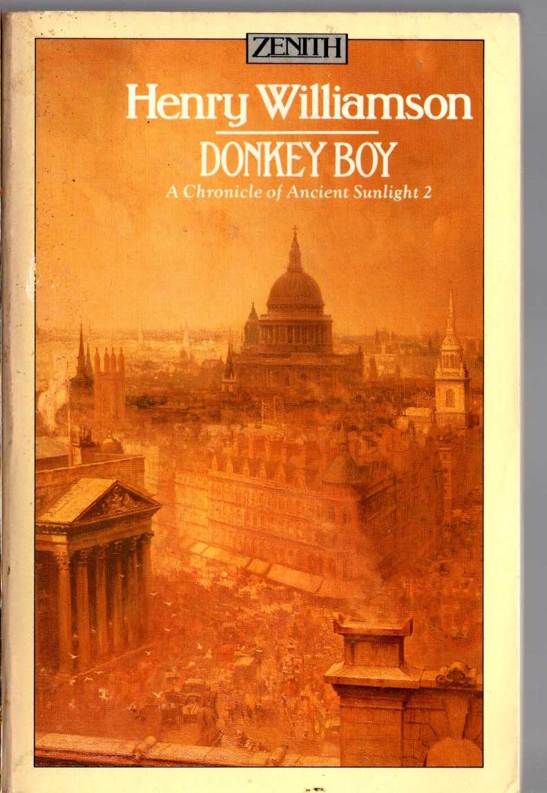 Henry Williamson  DONKEY BOY front book cover image