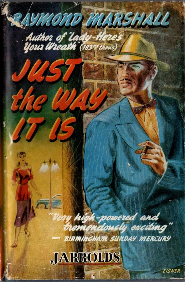 JUST THE WAY IT IS front book cover image