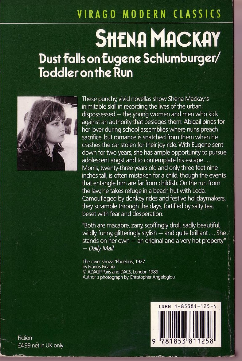 Shena MacKay  DUST FALLS ON EUGENE SCHLUMBURGER/ TODDLER ON THE RUN magnified rear book cover image