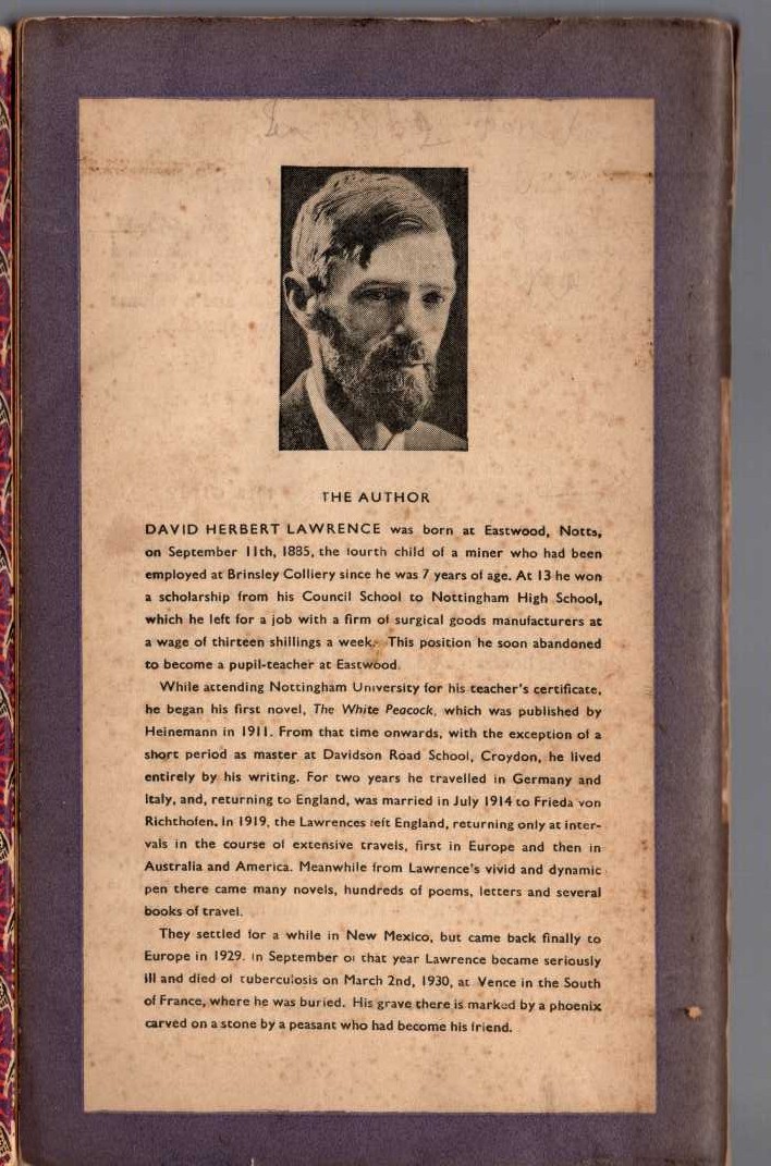 D.H. Lawrence  SELECTED LETTERS magnified rear book cover image